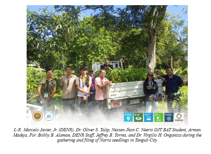 Misamis University NSTP Grows 500 Narra Seedlings